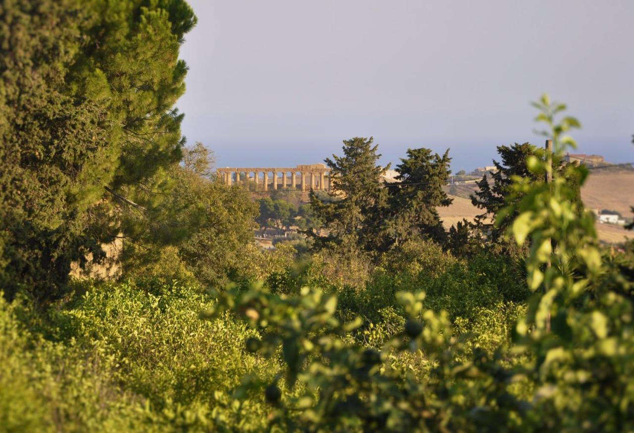 La Villa Di Minerva أغريجنتو المظهر الخارجي الصورة