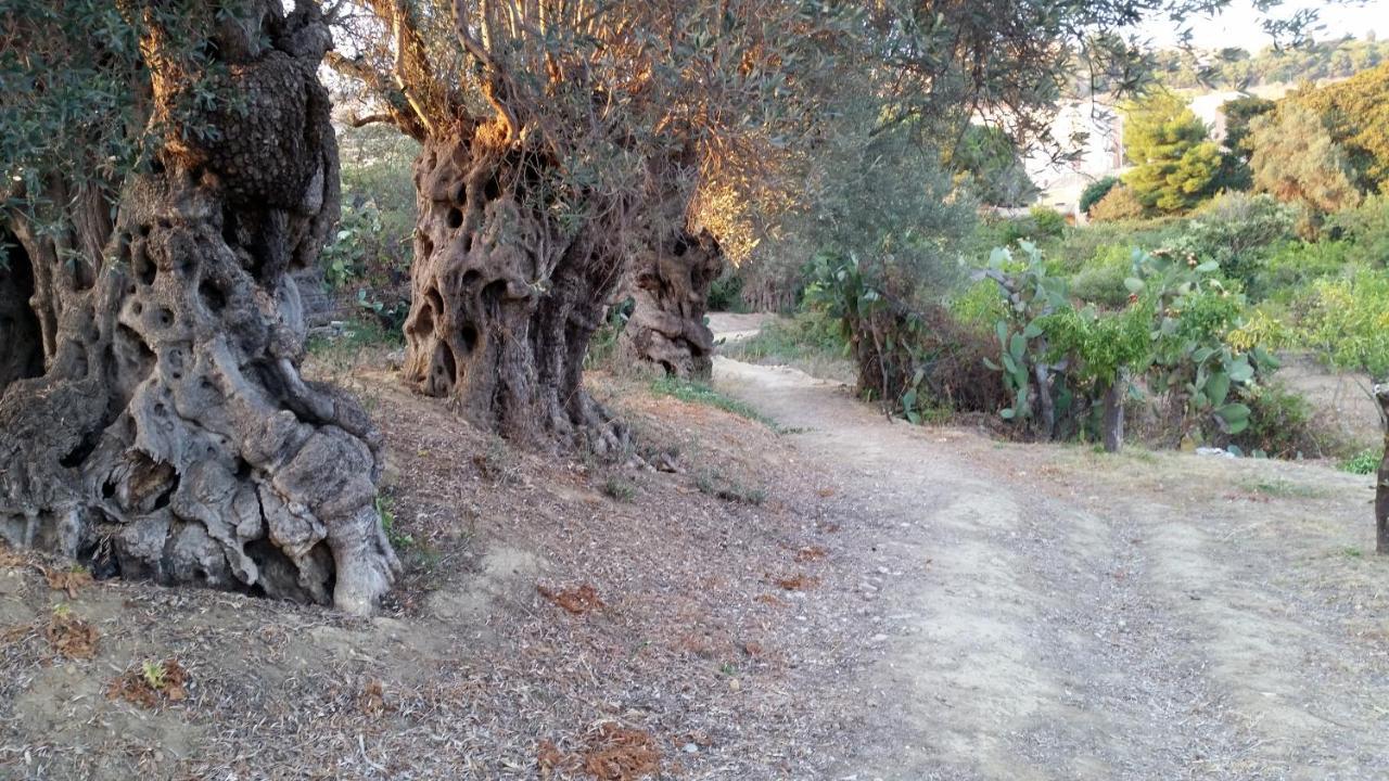 La Villa Di Minerva أغريجنتو المظهر الخارجي الصورة